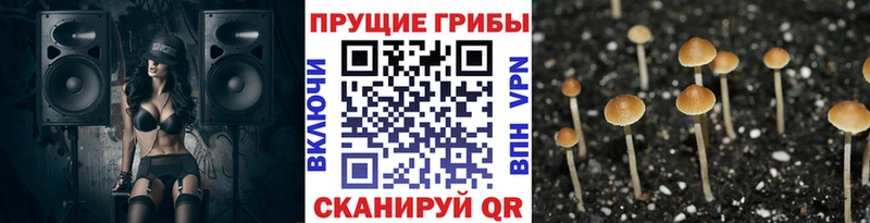 Псилоцибиновые грибы мухоморы  продажа наркотиков  Богородицк 